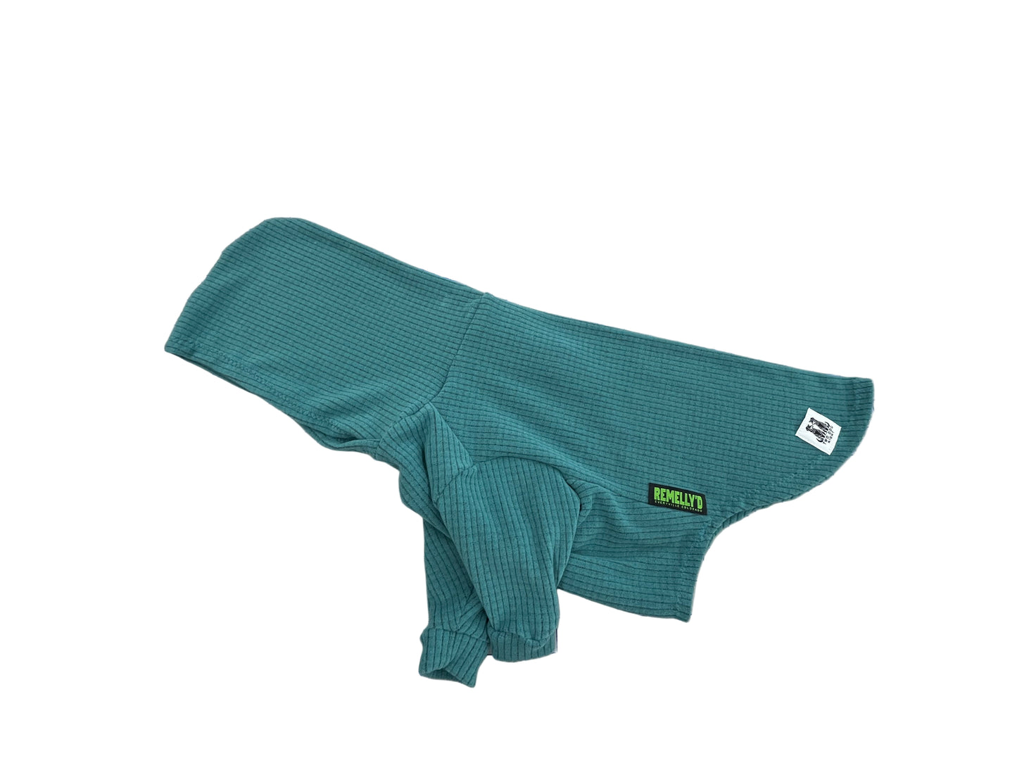 Solid colored Turquoise Dog Hoodie