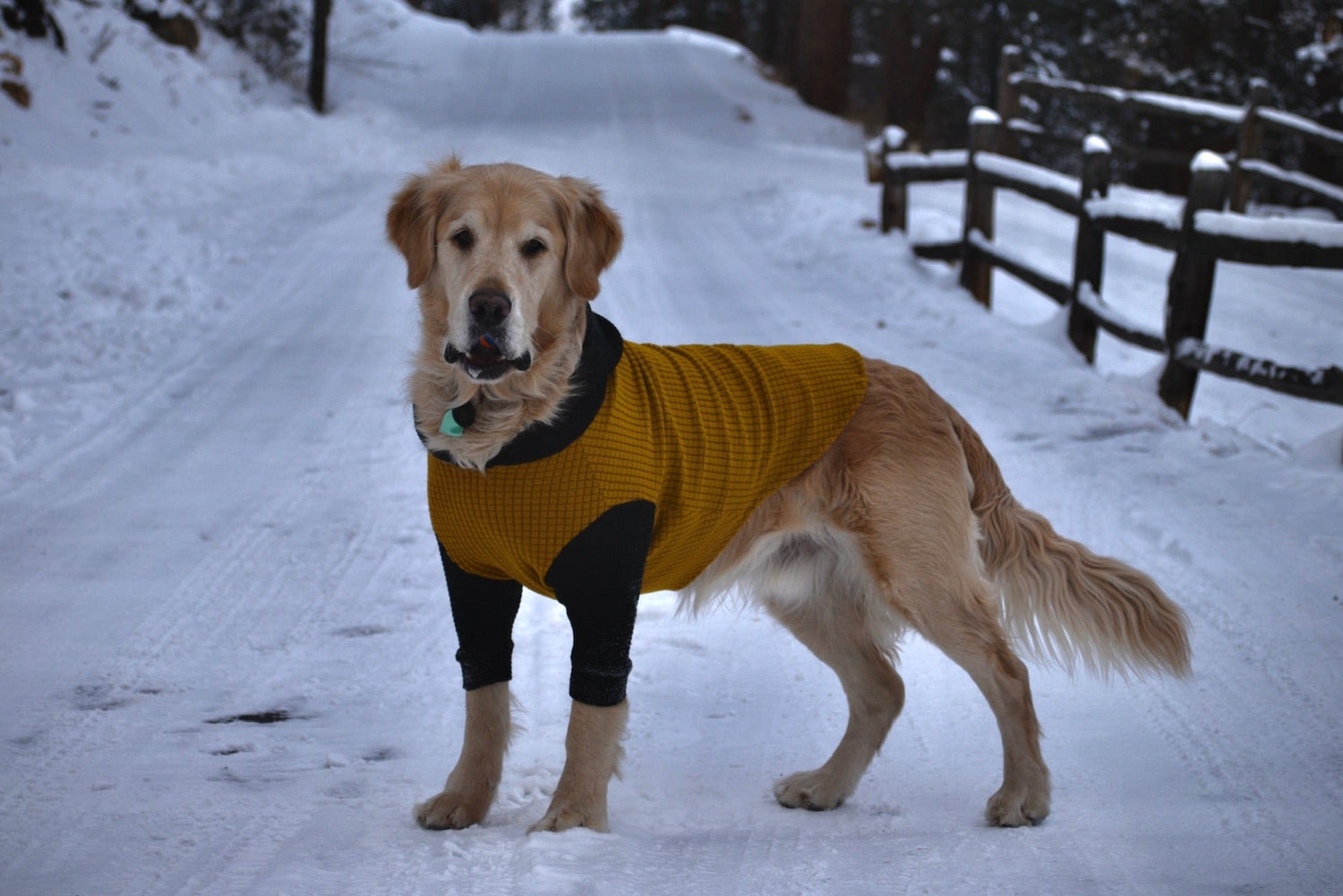 Microgrid Fleece Dog Hoodies