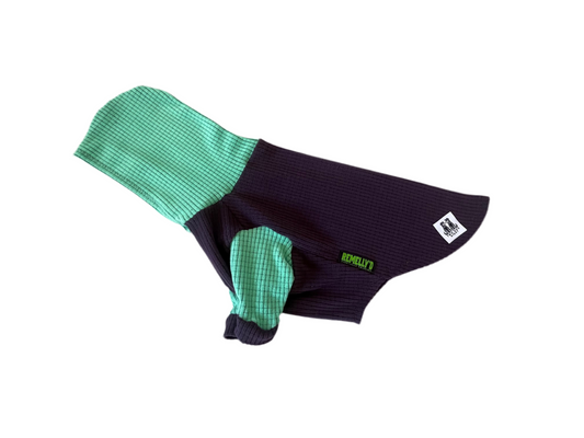 Eggplant with Lagoon hood and sleeves-Dog Hoodie