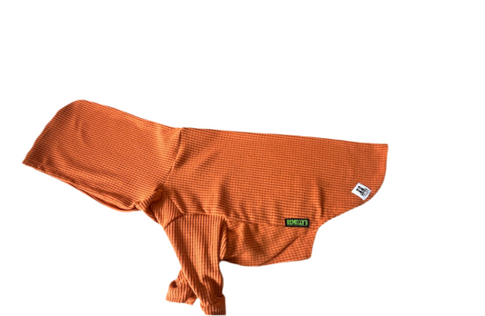 Solid colored Carrot Orange-Dog Hoodie