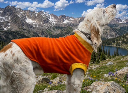 Fleece windpro dog sweater