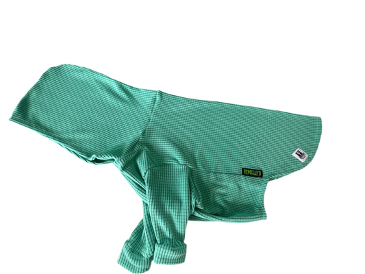 Lagoon solid color-dog hoodie
