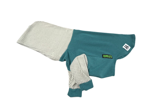 Turquoise with Fog hood and sleeves Dog Hoodie