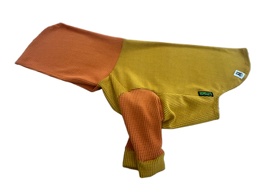 Sunflower body with carrot hood and sleeves -Dog Hoodie