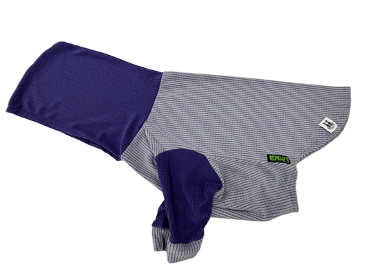 Lavender with grape hood and sleeves pet hoodie
