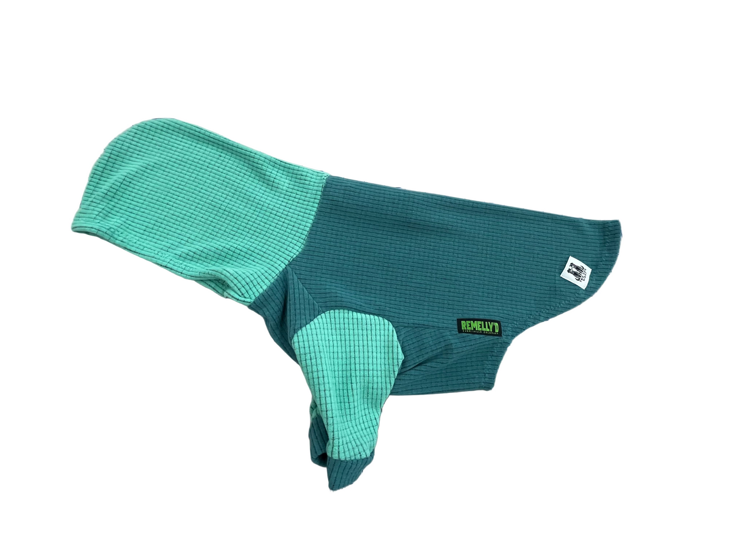 Turquoise with Lagoon hood and sleeves Dog Hoodie