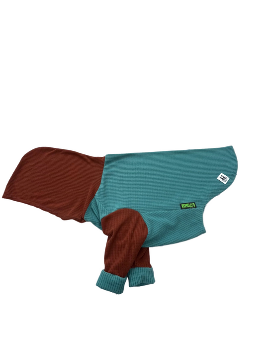 Turquoise with canyon hood and sleeves dog hoodie